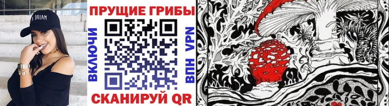 Галлюциногенные грибы Cubensis  дарнет шоп  Пойковский 