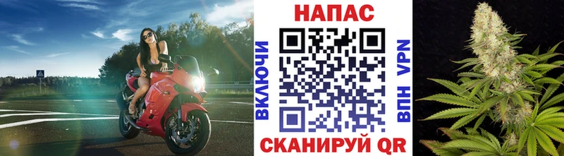Канабис семена  купить закладку  Пойковский 
